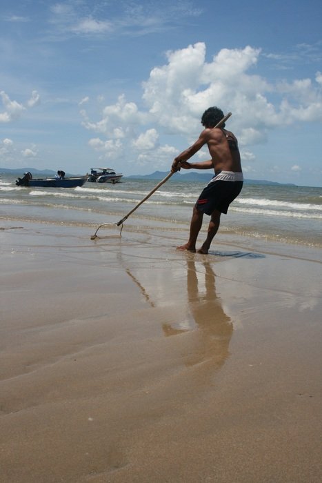 crab catcher on the beach