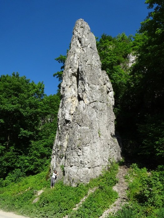 Dolinka BÄdkowska Landscape