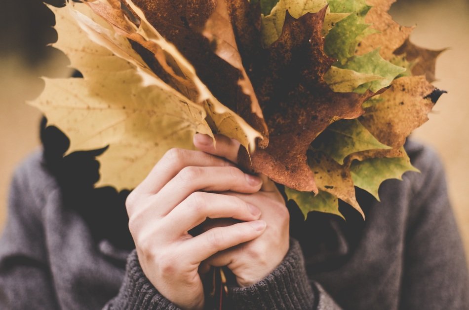 bouquet of maple leaves in hands