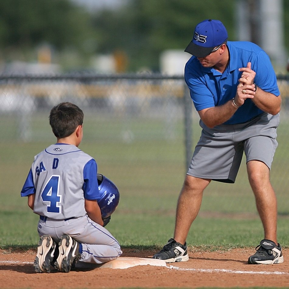 baseball in detail