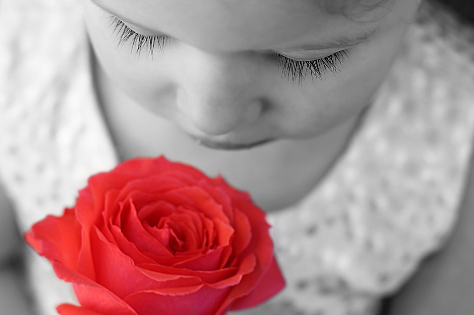 Portrait of Child smelling a rose