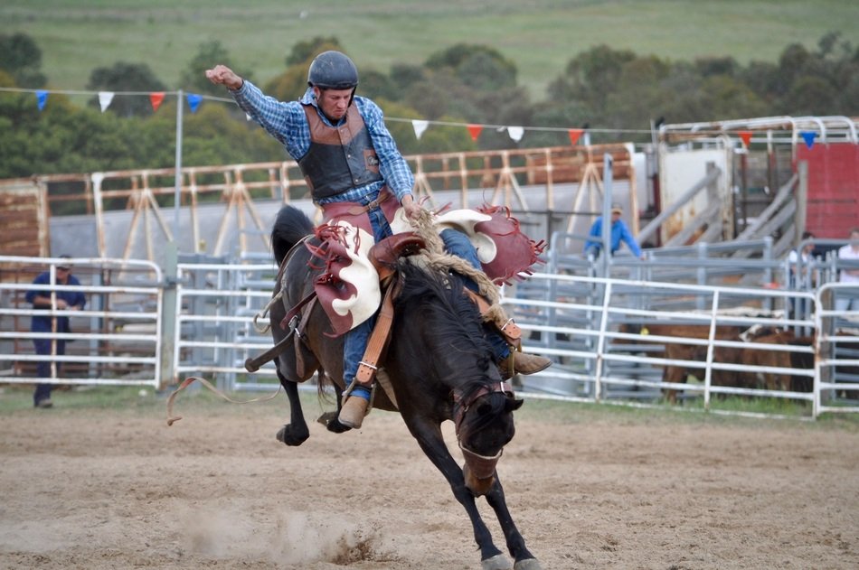 performance at the rodeo