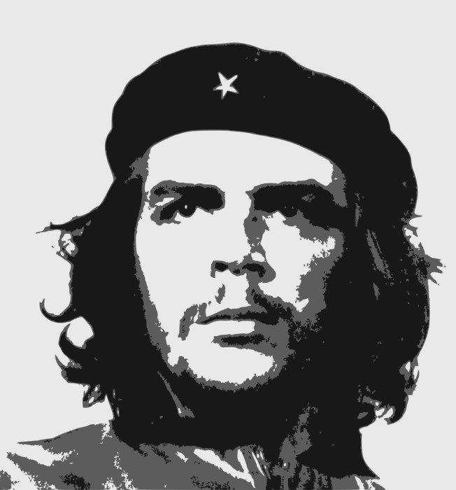 portrait of Che Guevara as a drawing