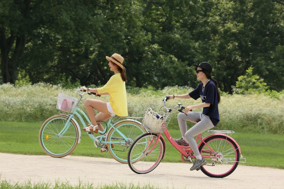 Cyclists on the path near the green trees