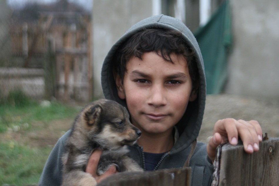 picture of the gypsy and dog