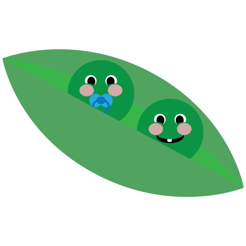 twins in pea pod