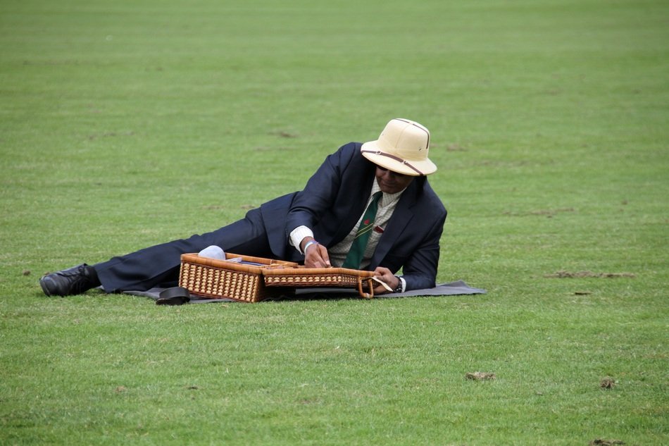 man on Picnic