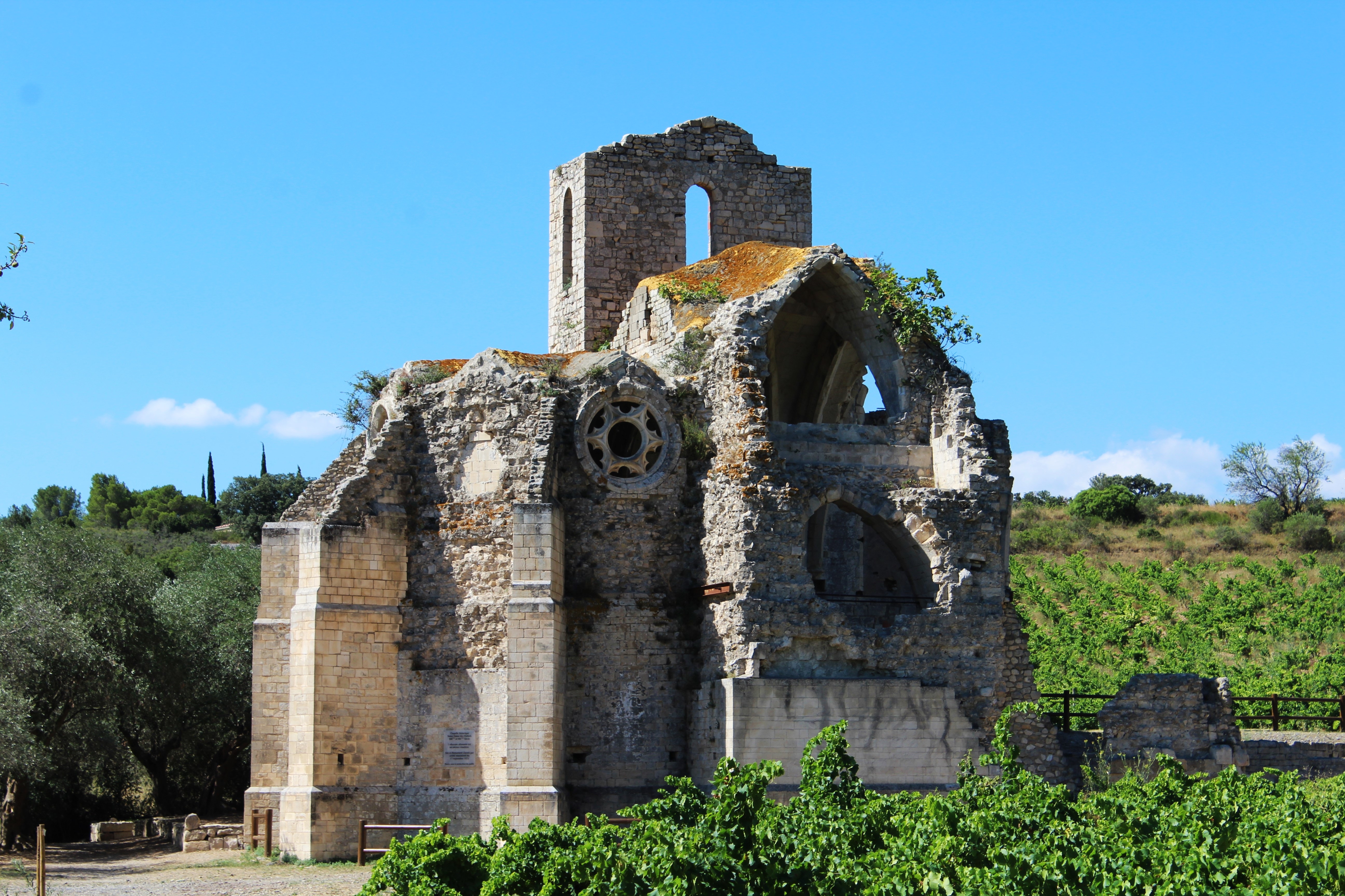 Church Cathedral Ruins image 