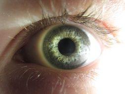 Eye Colors Portrait