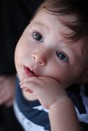 portrait of Sweet Baby looking up
