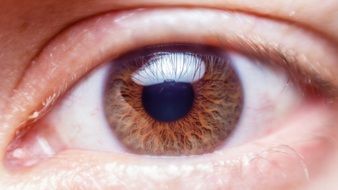 Eye Macro foto