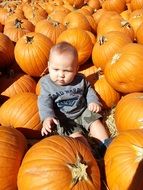 A lot of the pumpkins and toddler