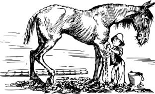 Boy clining Horse drawing