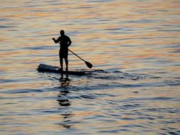 Surfing Water Ocean