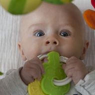 newborn baby with a toy in his hands