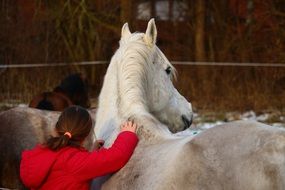 Horse and girl Friends