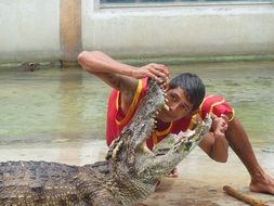 show on a crocodile farm