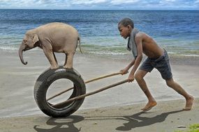 Child on the beach with the elephant in Africa