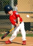 little baseball player with a bat