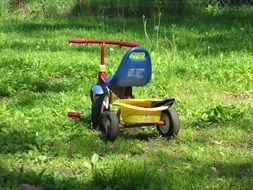 color tricycle on summer grass