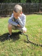 Caucasian child male on the grass