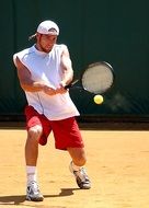 tennis player on the sunny court