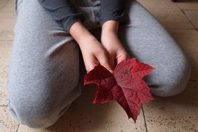 red Autumn Leaf in the hand