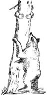 Bear Chasing Climbing drawing