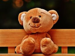 brown teddy bear on a bench close up