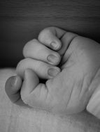 black and white photo of the hand of a newborn baby