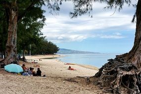 people relax on the beach near the ocean