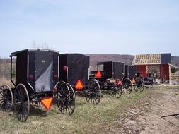 Amish buggies