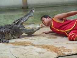show on the crocodile farm