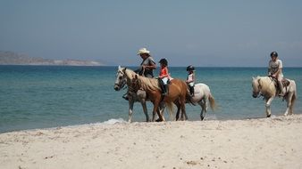 Horses People