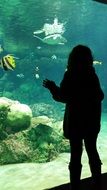 Aquarium Girl