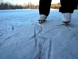 legs in white skates on ice close up