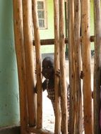 african child girl looking through fence