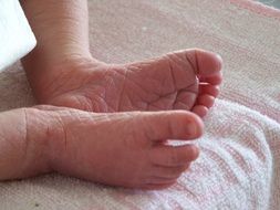 Feet Of The Baby