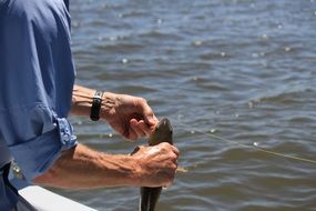 fisherman's catch in hand over water