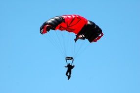 skydiver in flight in the sky