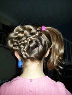 Creative Hair Plait, back view