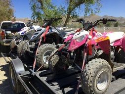 Atv Quad Trailer