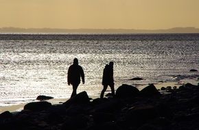 Back Light Coast