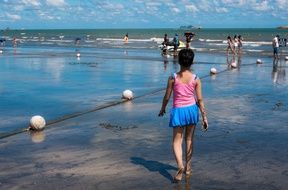people on the beach on a sunny day
