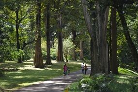 people in a botanical garden on a sunny day