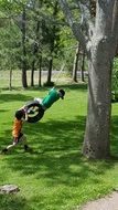 swing tire on a rope on a tree boys play