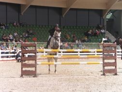 horse jumping, horse riding