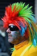 colorful wig for a carnival