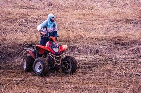 Boy rides a quad bike in the forest