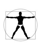 Silhouette Man Leonardo Da Vinci drawing